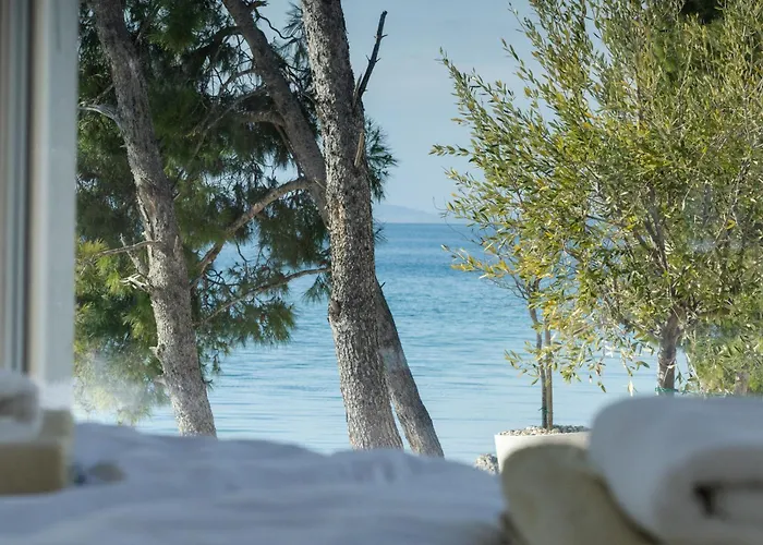 Luna Buqez - 1st Sea Line By Drage